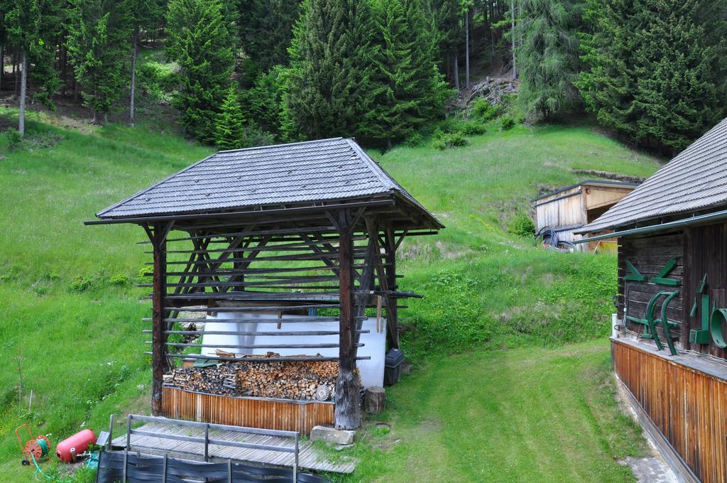 Almen-Kraeuter-Oberreiter Apartment Dellach im Drautal Екстериор снимка