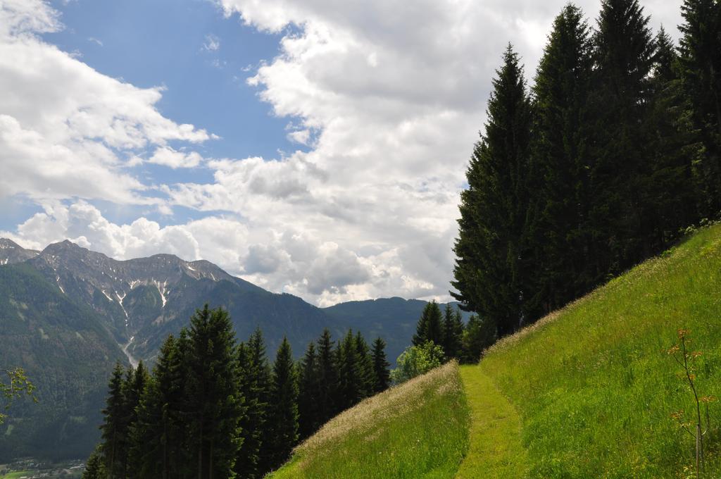 Almen-Kraeuter-Oberreiter Apartment Dellach im Drautal Екстериор снимка