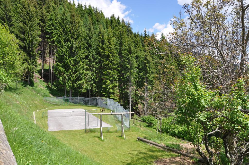 Almen-Kraeuter-Oberreiter Apartment Dellach im Drautal Екстериор снимка